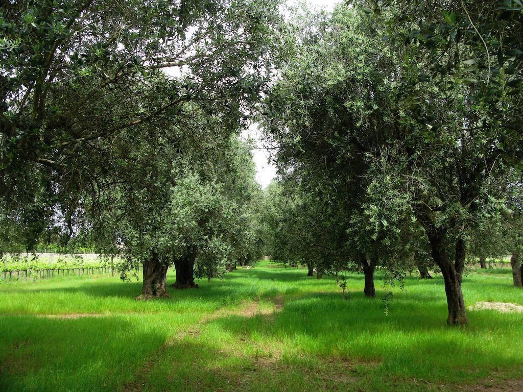 Masseria San Polo Squinzano Dış mekan fotoğraf