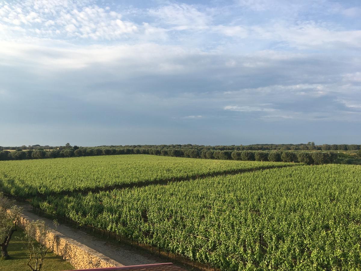 Masseria San Polo Squinzano Dış mekan fotoğraf